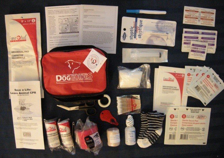 First Aid Kit - Basic - Click Image to Close