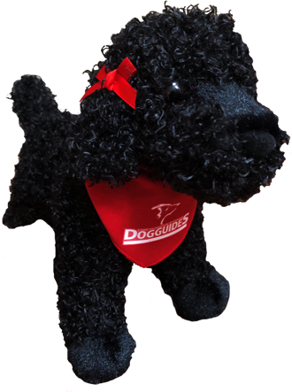 Plush Puppy - Black Poodle - Click Image to Close