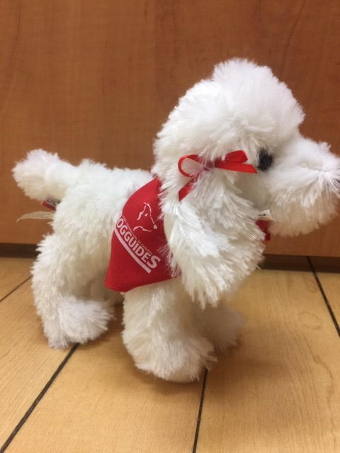 Plush Puppy - White Poodle - Click Image to Close