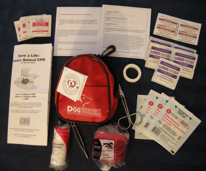 First Aid Kit - Mini/Travel